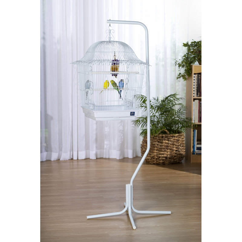 Archie & Oscar™ Jaden 62" Steel Victorian Top Hanging Bird Cage Stand with Tray "& Reviews